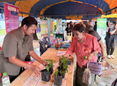 ร่วมออกหน่วยบริการตามโครงการ“หน่วยบำบัดทุกข์ บำรุงสุข ... พารามิเตอร์รูปภาพ 12